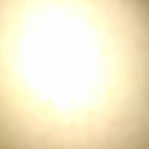 Meet your Posher, Mikey